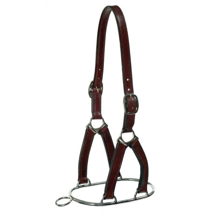 Stephens controller headcollar