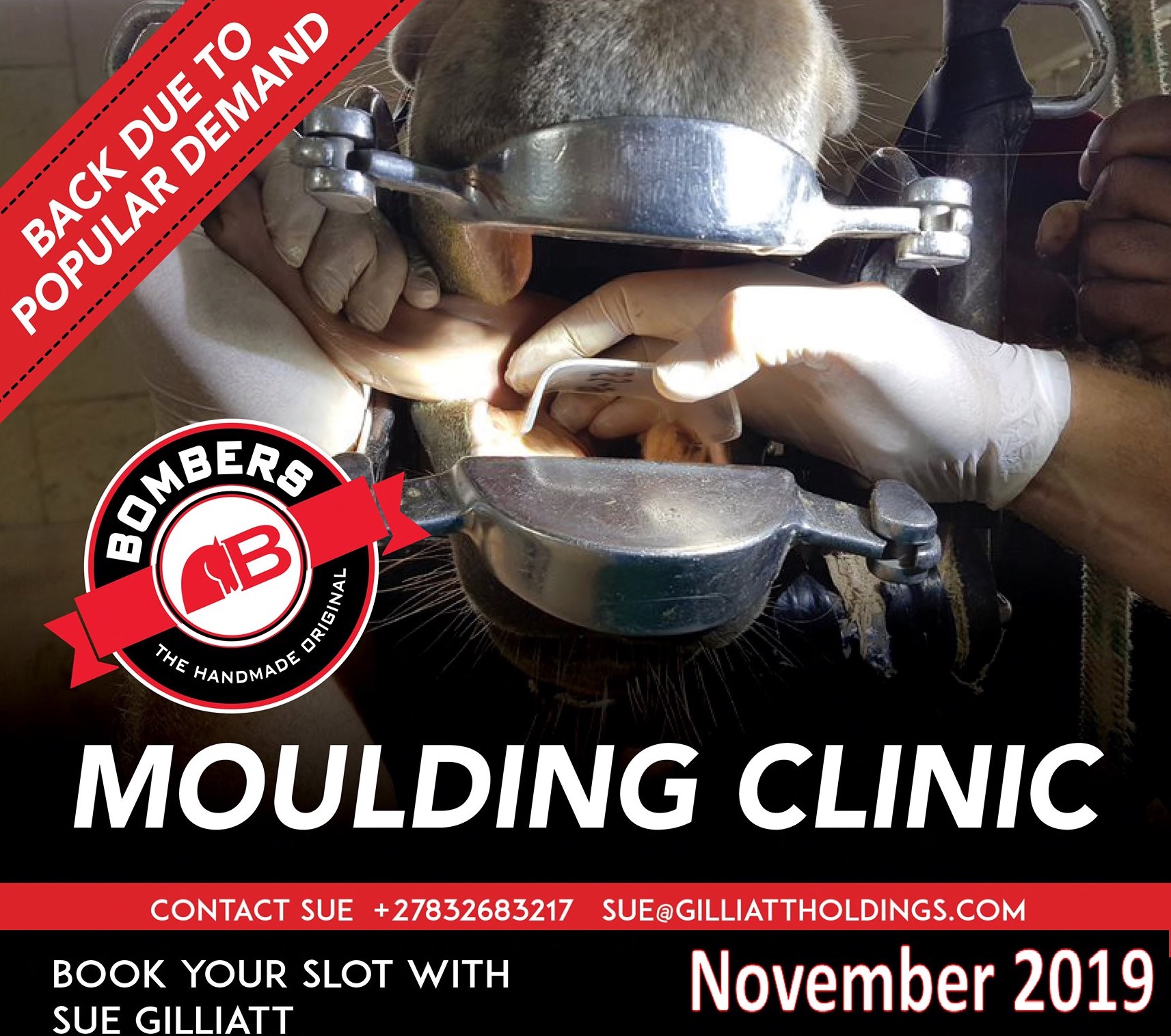 Sue Gilliatt mouth moulding clinics