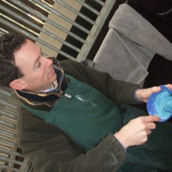 EDT MAKES UP MOULD FOR EQUINE MOUTH MOULDING